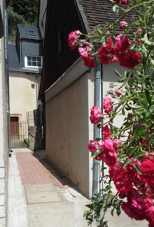 La Petite Lucette Villa Amboise Eksteriør billede